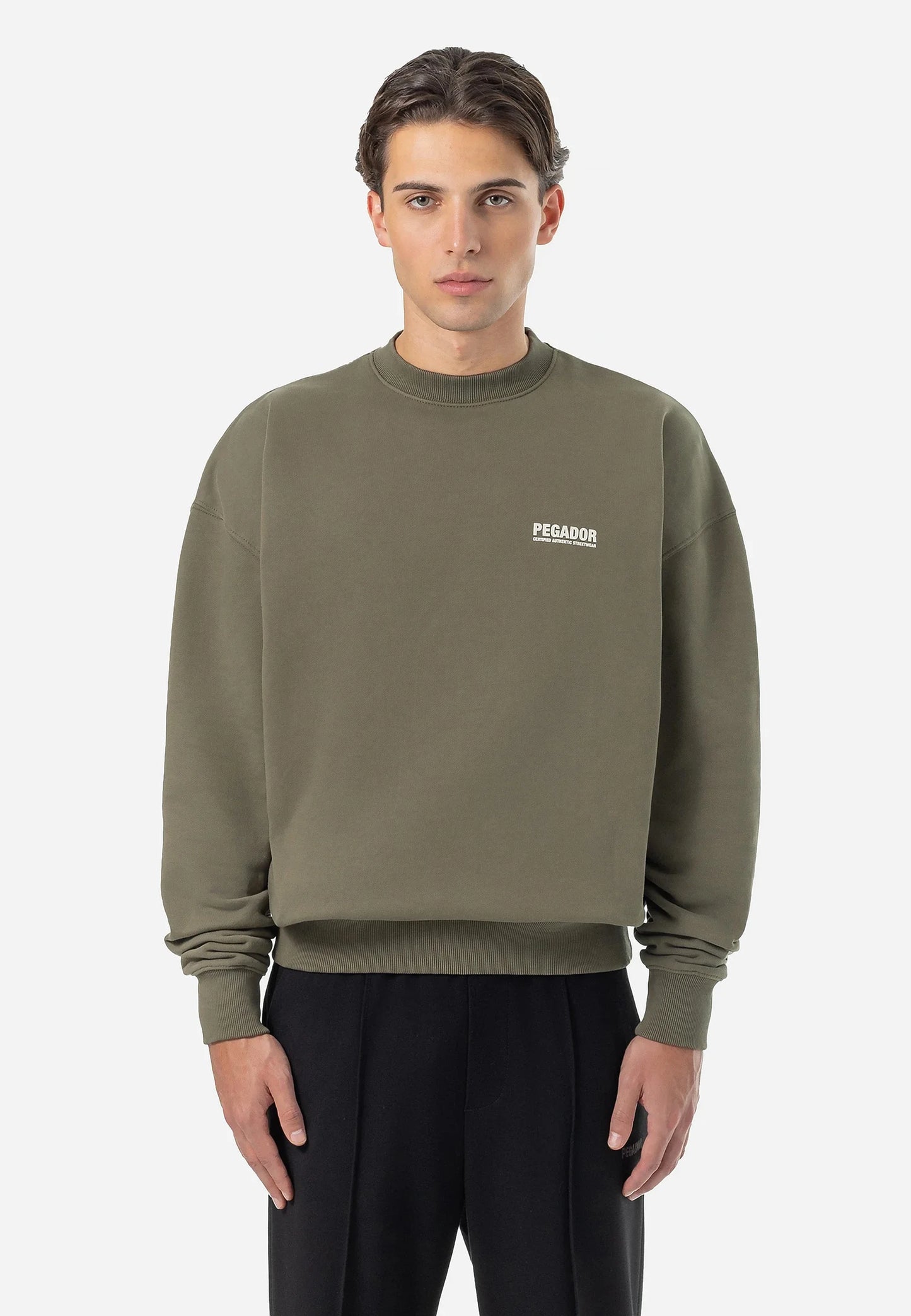 CLINTON OVERSIZED - Sweatshirt - washed faded olive
