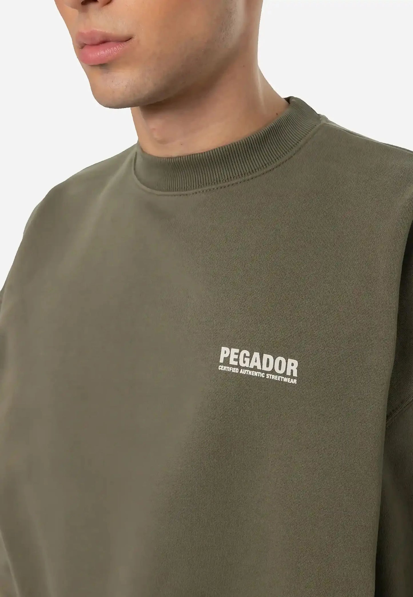 CLINTON OVERSIZED - Sweatshirt - washed faded olive