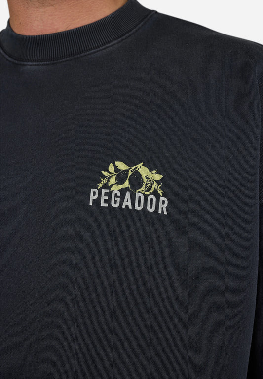 VANOS OVERSIZED - Sweatshirt - vintage black