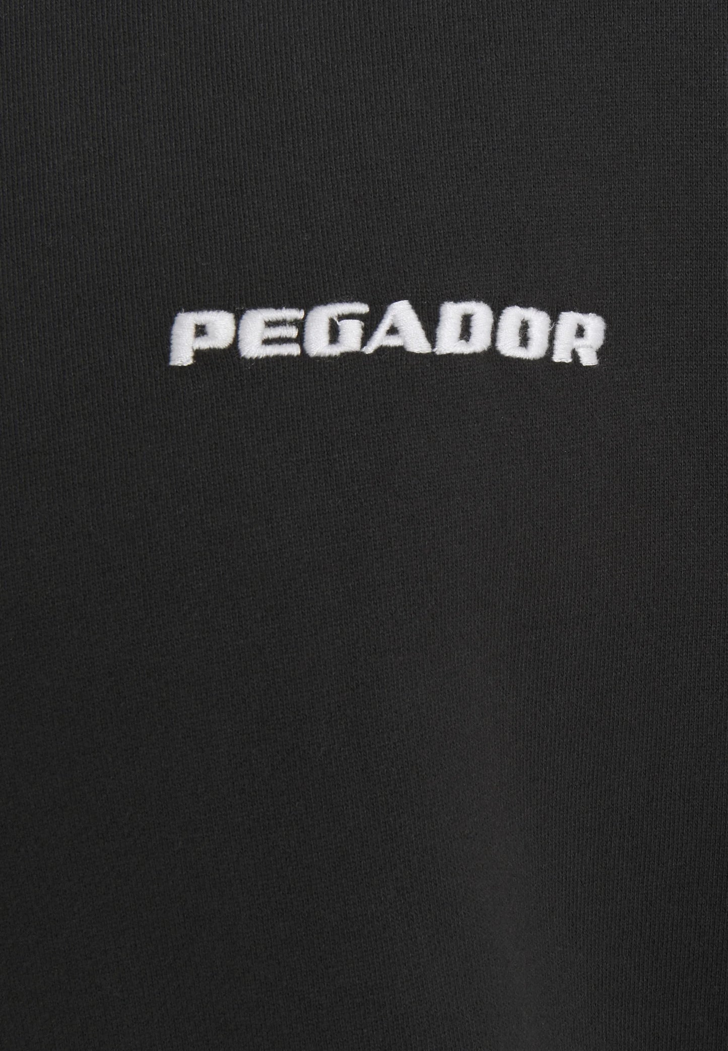 LOGO HOODIE - Sweatshirt - washed black