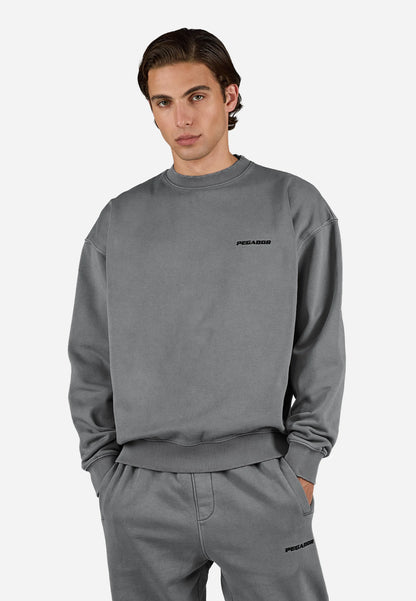 LOGO - Sweatshirt - vintage grey