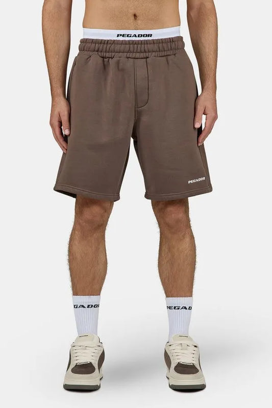 Logo Heavy Sweat Brown Shorts